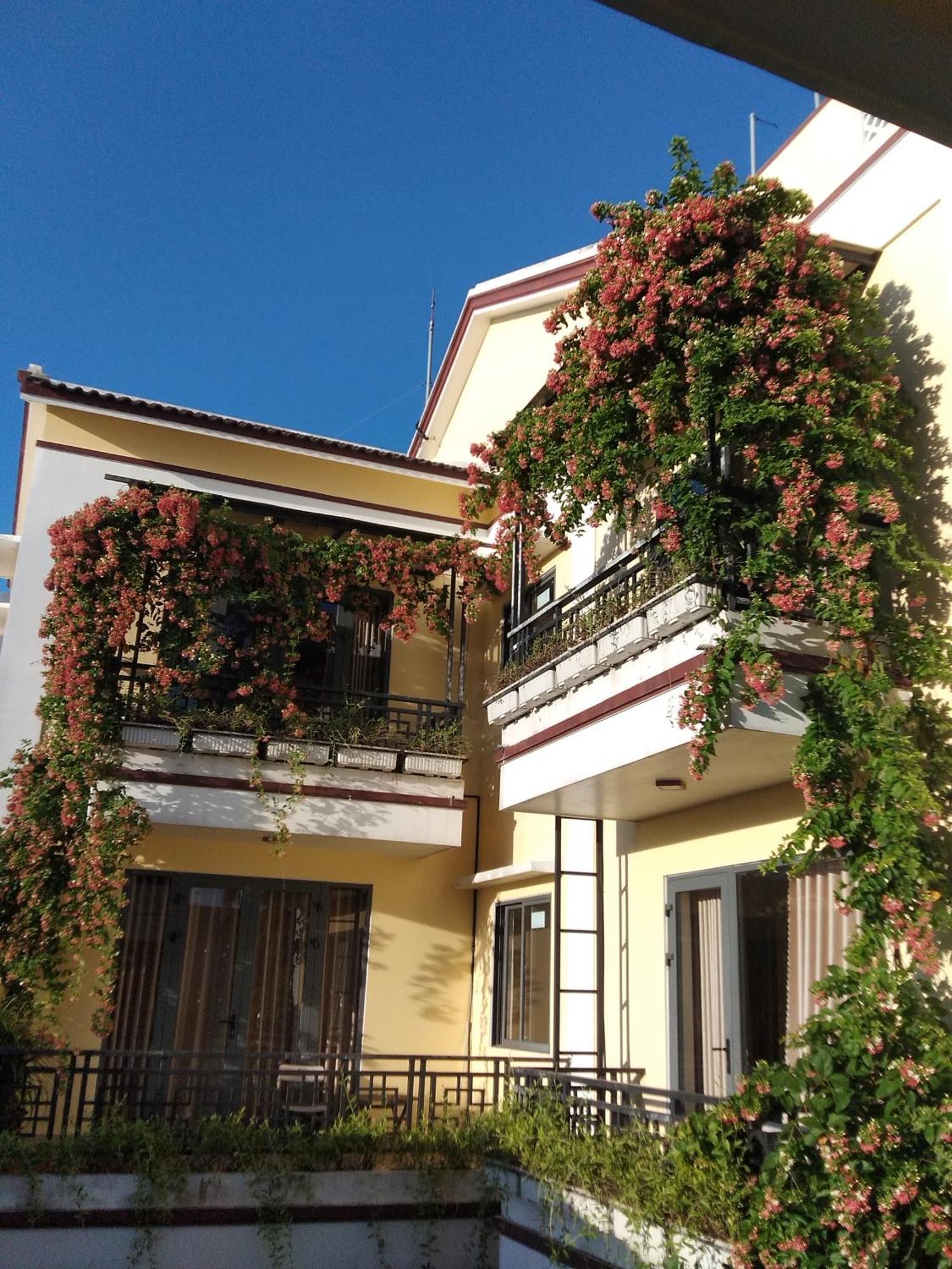 Hoi An Town Of Viet House Homestay מראה חיצוני תמונה